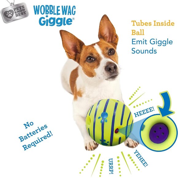 Ball, Interactive Dog Toy, Fun Giggle Sounds When Rolled or Shaken, Pets Know Be - Picture 6 of 9